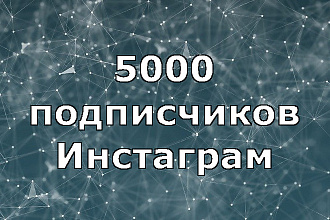 Подписчики Инстаграм
