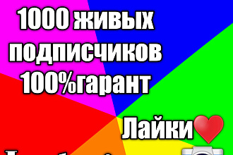 1000 Русскоязычных инстаграм подписчиков