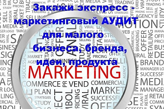 Экспресс маркетинговый аудит по Skype