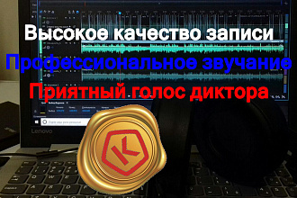 Профессиональная озвучка на русском языке