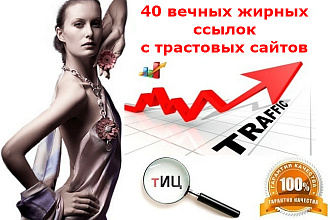 Ручной профильный прогон на 40 Жирных трастовых сайтах, высокий ИКС