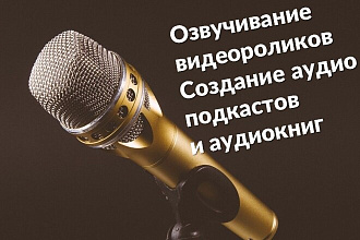 Озвучивание видеоролика