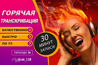Расшифровка , аудио или видео в текст - 30 минут