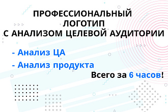 Логотип с анализом продукта, целевой аудитории. За 6 часов