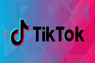 Подписчики в Тик-Ток