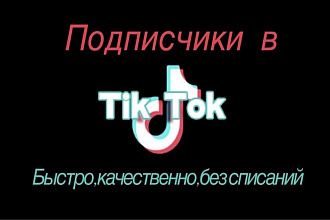 Подписчики Tik Tok