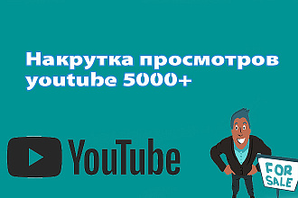 +2000 Просмотров в YouTube