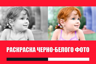 Качественная раскраска черно-белого фото