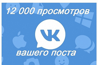 12000 просмотров записи в VK + 1000 лайков бонусом