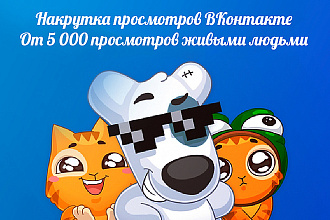 15000 просмотров ВК на запись