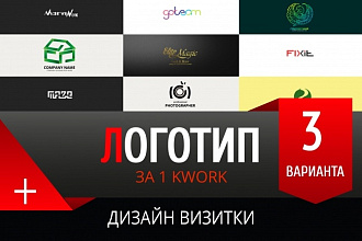 Логотип в 3 вариантах и дизайн визитки в подарок
