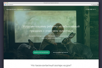 Дизайн главной страницы или лендинга