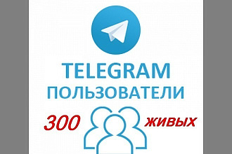 300 подписчиков на ваш Telegram канал