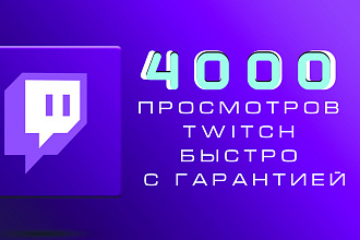 4000 просмотров Twitch