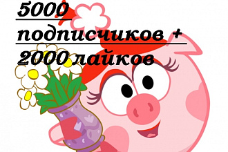 5000 подписчиков Инстаграм+бонус 2000 лайков