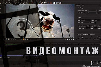 Выполню монтаж/обработку видео