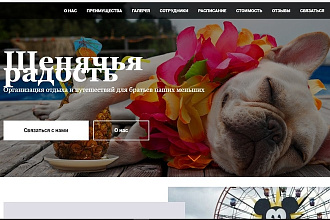 Создам сайт- визитку, лендинг, лонгрид