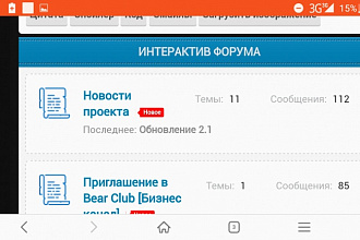 Создание форумов на заказ