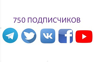 750 подписчиков в любую социальную сеть