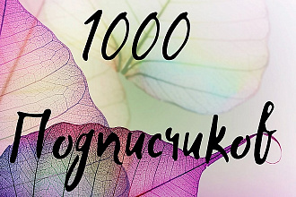 1000 подписчиков в Instagram