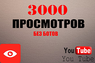 3000 просмотров Ютуб