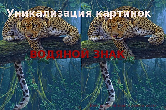 Водяной знак
