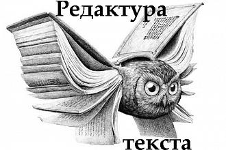 Редакторская правка любого текста