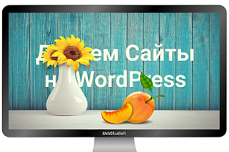 Создам сайт на CMS wordpress