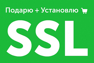 Подарю SSL сертификат и установлю его
