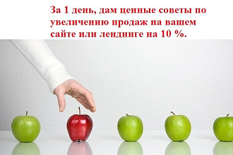 Дам ценную консультацию по вашему сайту или лендингу, для роста продаж