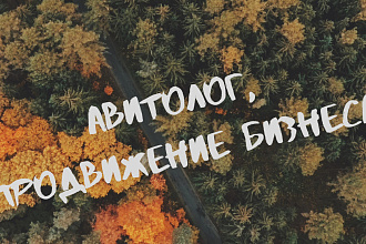 Продвижение в Авито, Авитолог