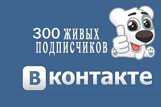 300 живых подписчиков в группу ВК. Вручную. Без ботов