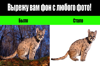 Помогу убрать фон. Удалю, уберу,отделю фон