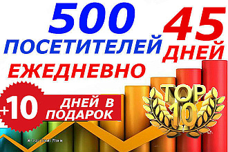 500 посетителей ежедневно течение 45 дней. Качественный трафик