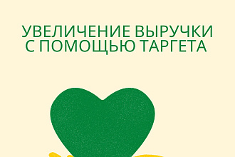 Профессиональная настройка таргетированной рекламы