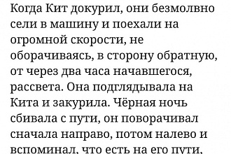 Напишу для вас произведение художественной литературы