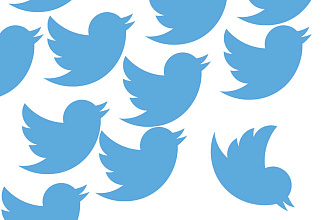 Real Twitter followers