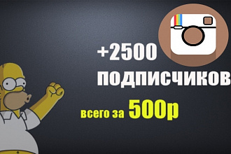 2500 подписчиков В Instagram
