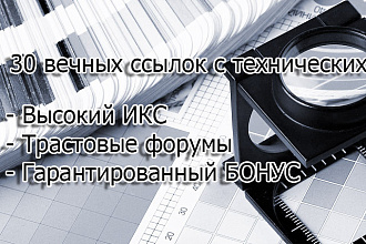 30 вечных ссылок с технических форумов, высокий ИКС, трастовые форумы