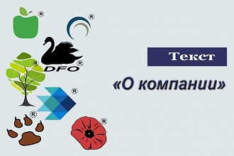 Напишу текст о компании или проекте, вдумчиво и без воды