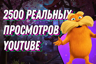 2500 реальных просмотров на видео YouTube