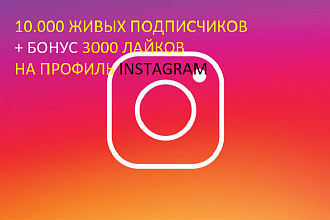Instagram 10000 живых подписчиков + 3000 лайков. Акция