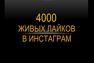 4000 живых лайков в Инстаграмм