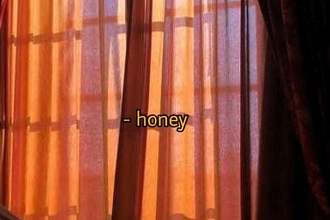 Обведу логотип