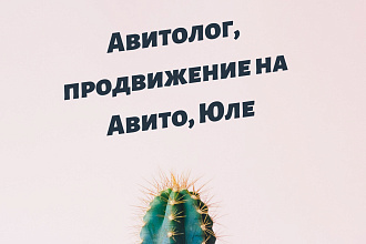 Продвижение Авито, Авитолог