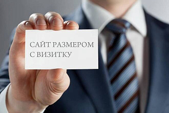 Современный качественный адаптивный сайт-визитка на WordPress