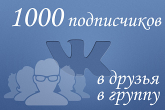 1000 подписчиков в паблик вконтакте