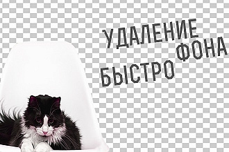 Удалю фон с фотографий. Быстро, 10-100 фото