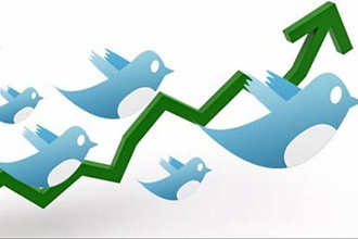 1700 подписчиков в ваш аккаунт twitter
