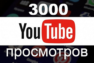 3000 просмотров с хорошим удержанием